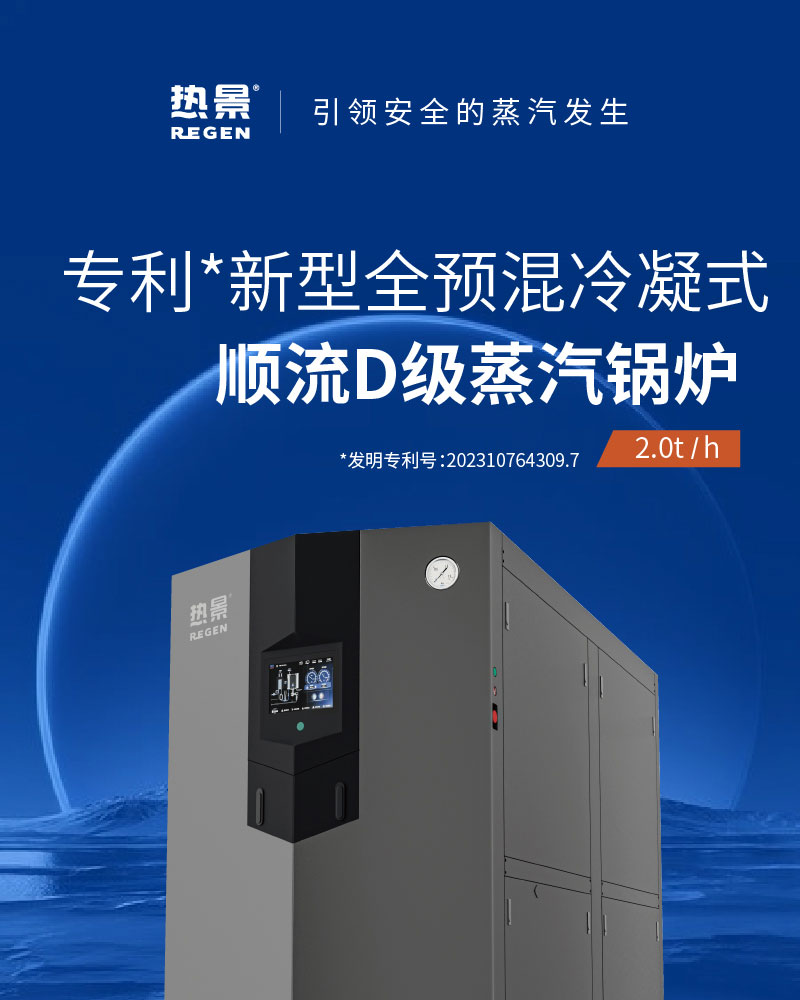 顺流蒸汽锅炉