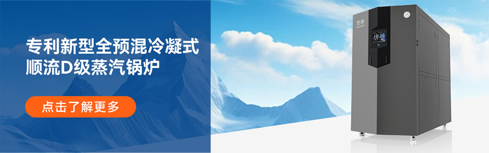 顺流D级蒸汽锅炉