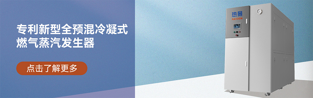 燃气蒸汽发生器